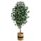 6ft. Ficus Artificial Tree with Natural Trunk in Handmade Natural Cotton Planter